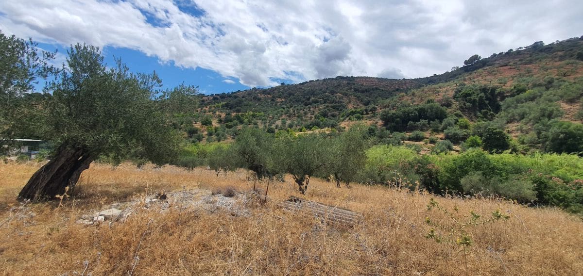 Grunde uden byggetilladelser til salg i Tolox - € 15.000 (Ref: 8440278)