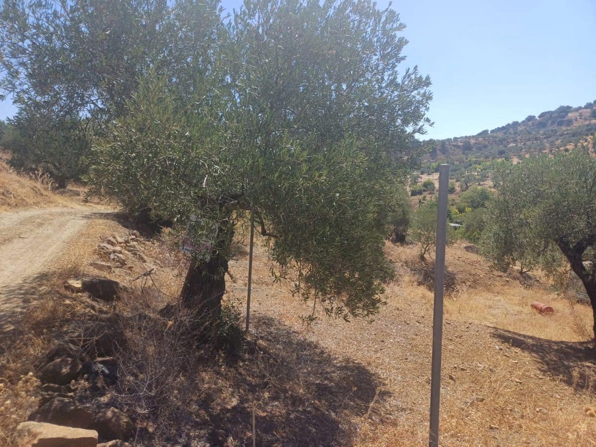 Grunde uden byggetilladelser til salg i Tolox - € 15.000 (Ref: 8440278)