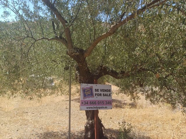 Mark till salu i Tolox - 15 000 € (Ref: 8440278)