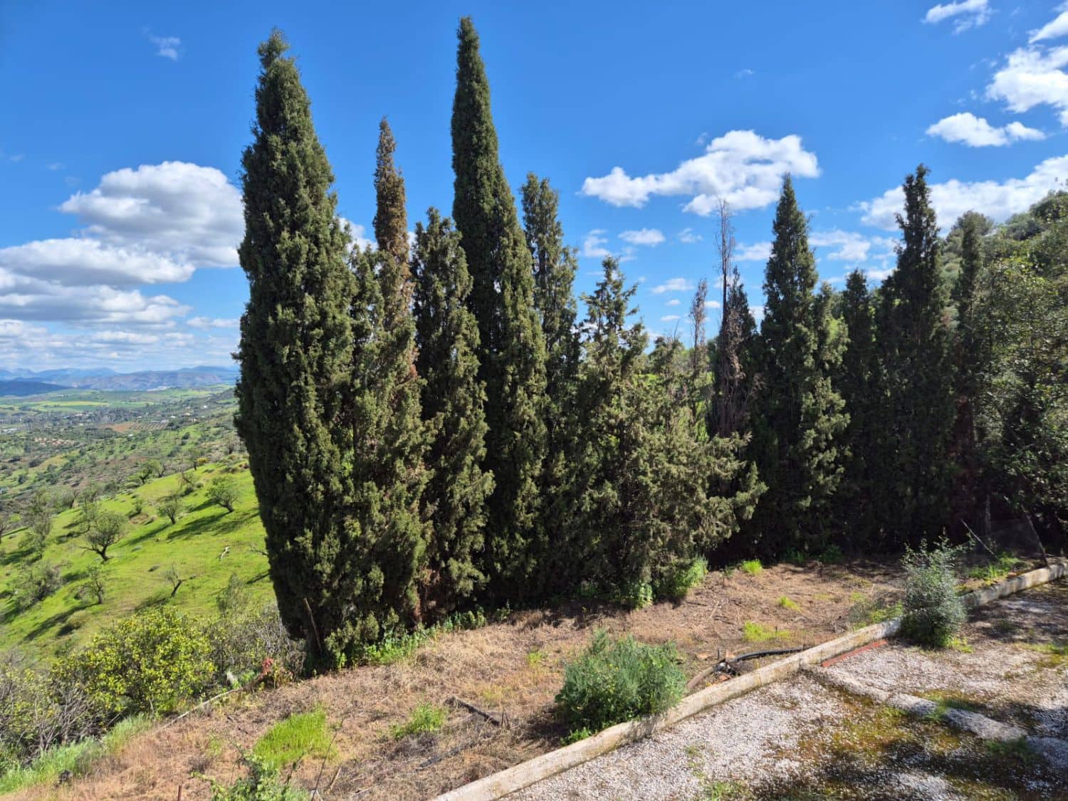 3 soverom Finca/Herregård til salgs i Guaro - € 330 000 (Ref: 8920071)