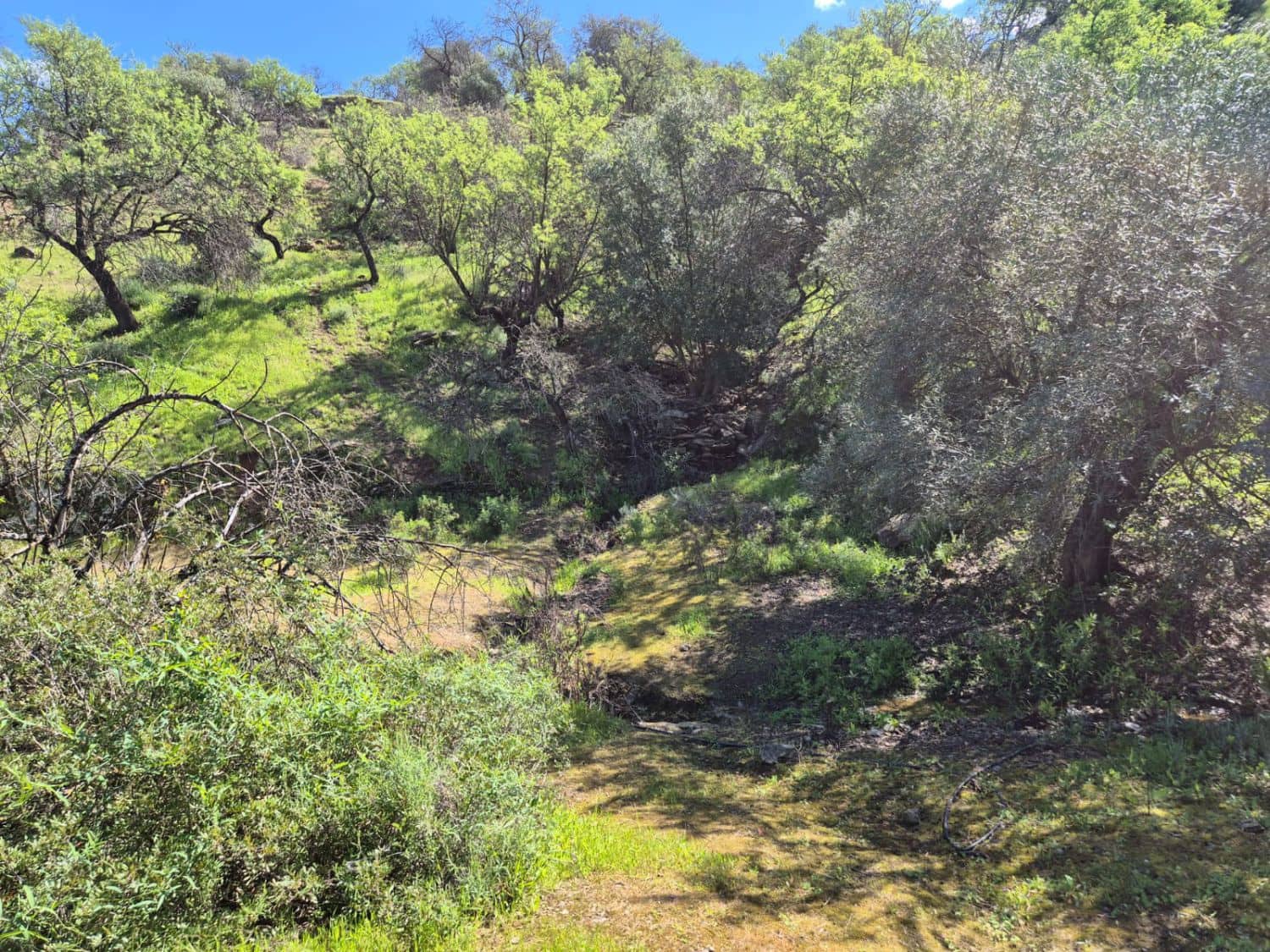 3 soverom Finca/Herregård til salgs i Guaro - € 330 000 (Ref: 8920071)