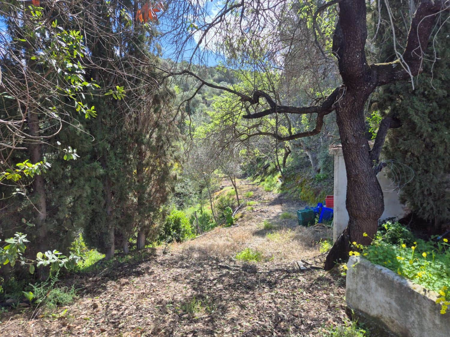 3 soverom Finca/Herregård til salgs i Guaro - € 330 000 (Ref: 8920071)