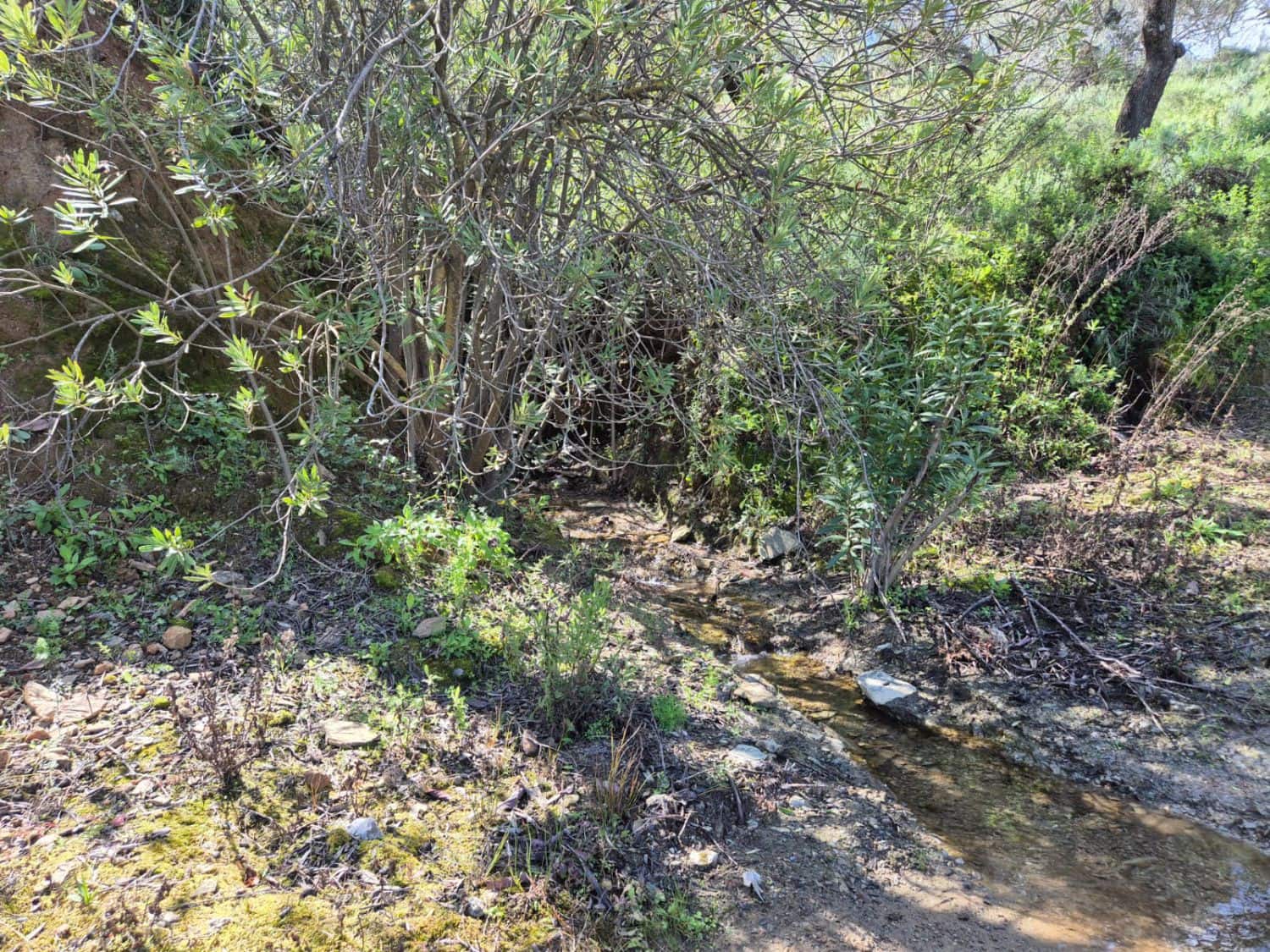 3 soverom Finca/Herregård til salgs i Guaro - € 330 000 (Ref: 8920071)