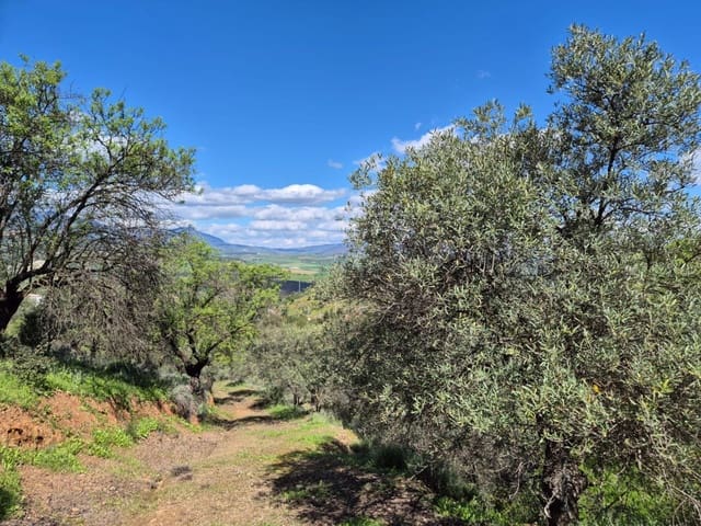 3 soverom Finca/Herregård til salgs i Guaro - € 330 000 (Ref: 8920071)