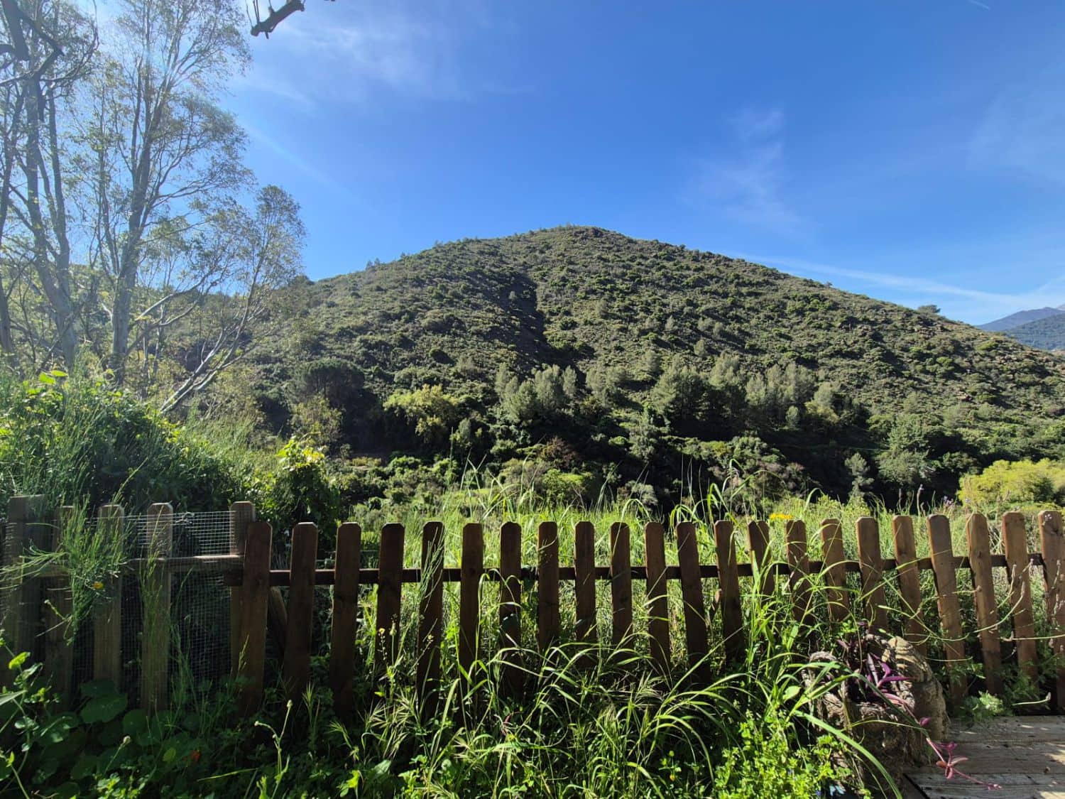 1 soveværelse Finca/Landehus til salg i Alozaina - € 45.000 (Ref: 8932803)