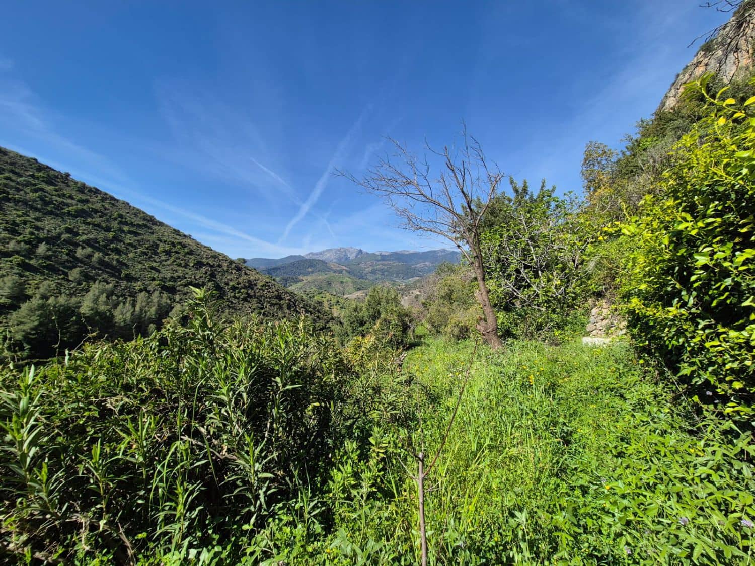 1 soveværelse Finca/Landehus til salg i Alozaina - € 45.000 (Ref: 8932803)