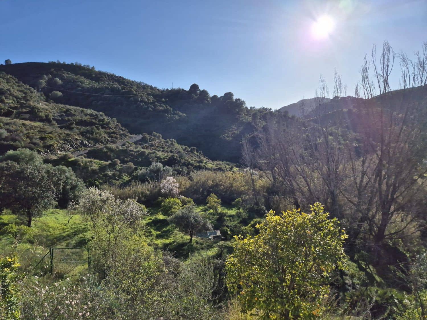 1 soveværelse Finca/Landehus til salg i Guaro - € 215.000 (Ref: 8932804)