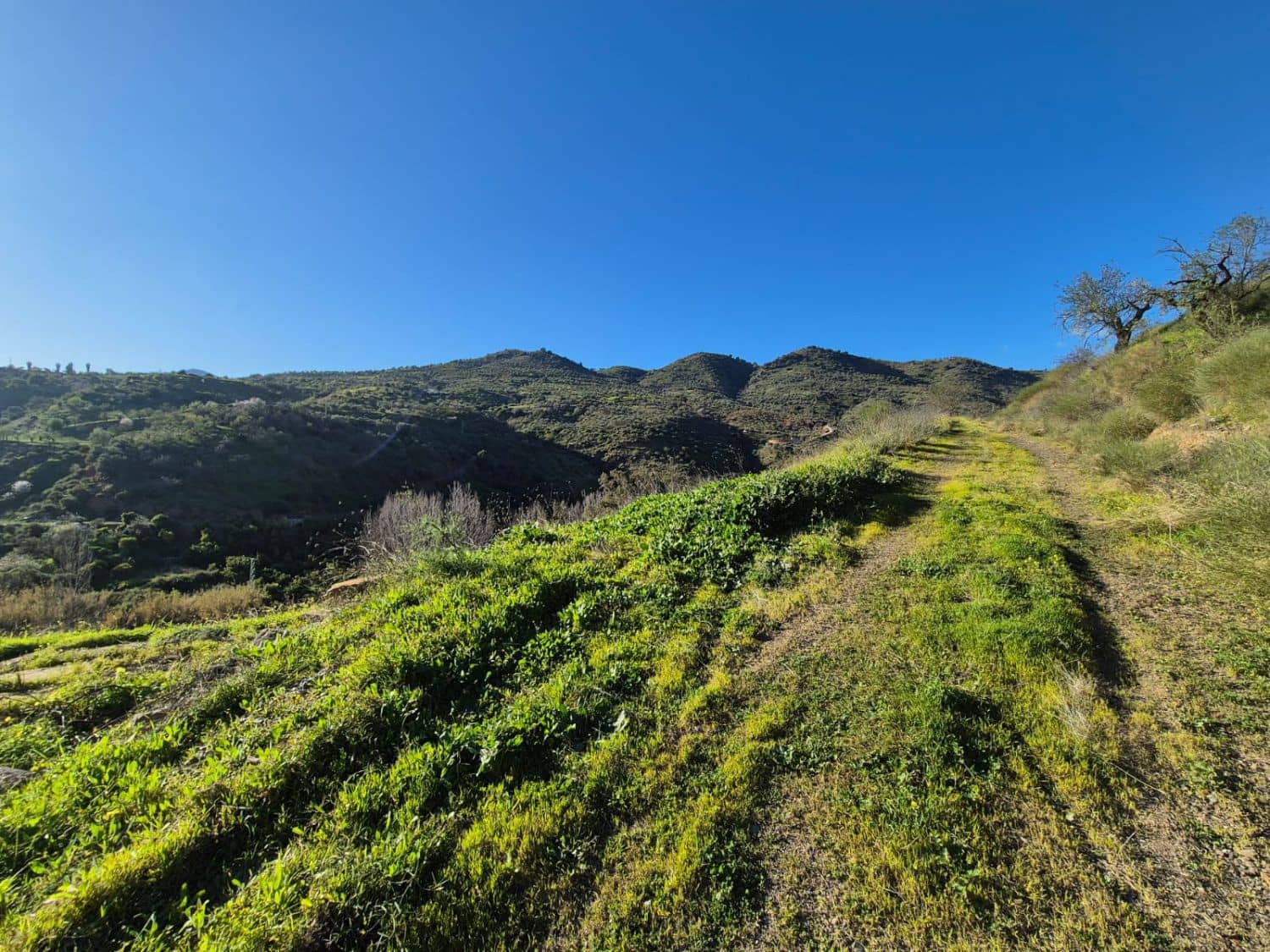 1 soveværelse Finca/Landehus til salg i Guaro - € 215.000 (Ref: 8932804)