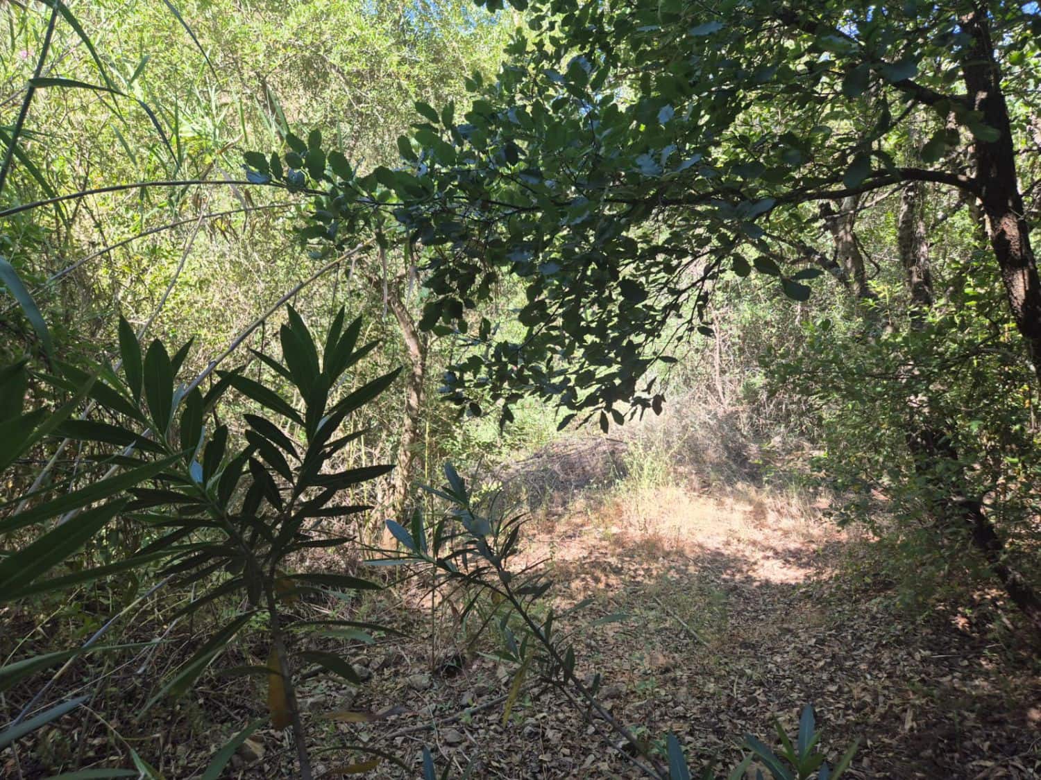 2 sypialnia Finka/Dom wiejski na sprzedaż w Guaro - 250 000 € (Ref: 9040677)