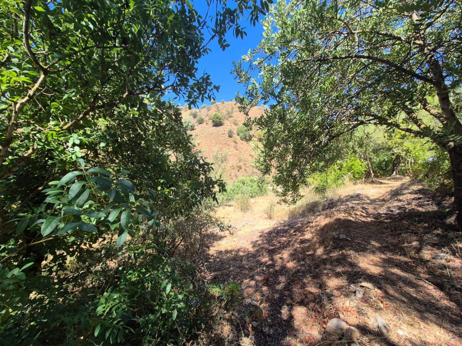 2 sypialnia Finka/Dom wiejski na sprzedaż w Guaro - 250 000 € (Ref: 9040677)