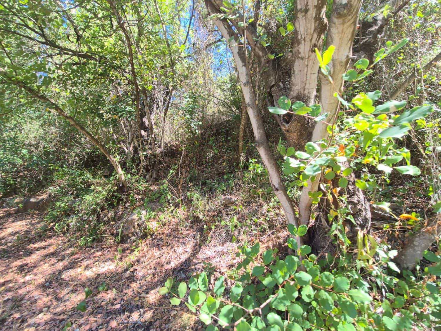 2 sypialnia Finka/Dom wiejski na sprzedaż w Guaro - 250 000 € (Ref: 9040677)