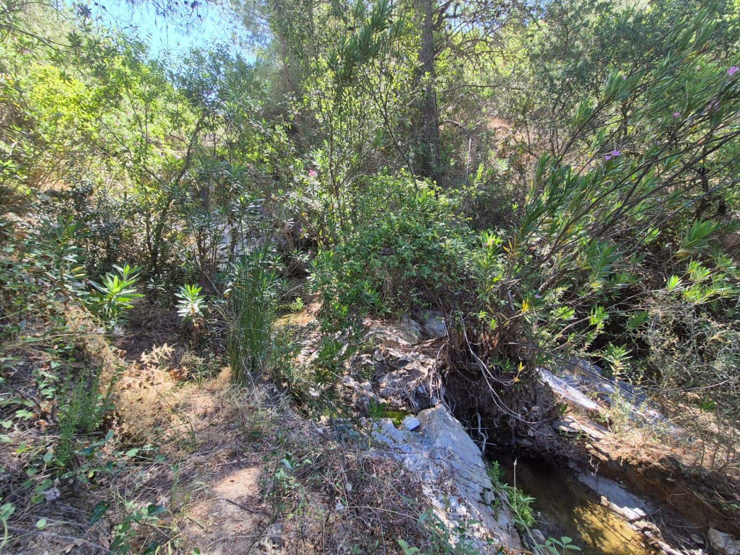 2 sypialnia Finka/Dom wiejski na sprzedaż w Guaro - 250 000 € (Ref: 9040677)