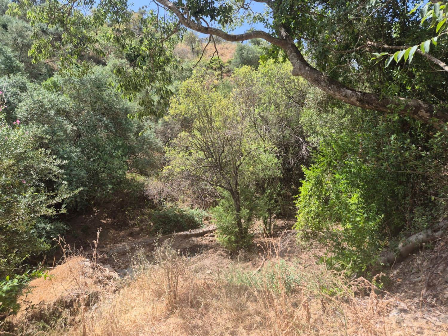 3 soveværelse Finca/Landehus til salg i Guaro - € 695.000 (Ref: 9128703)