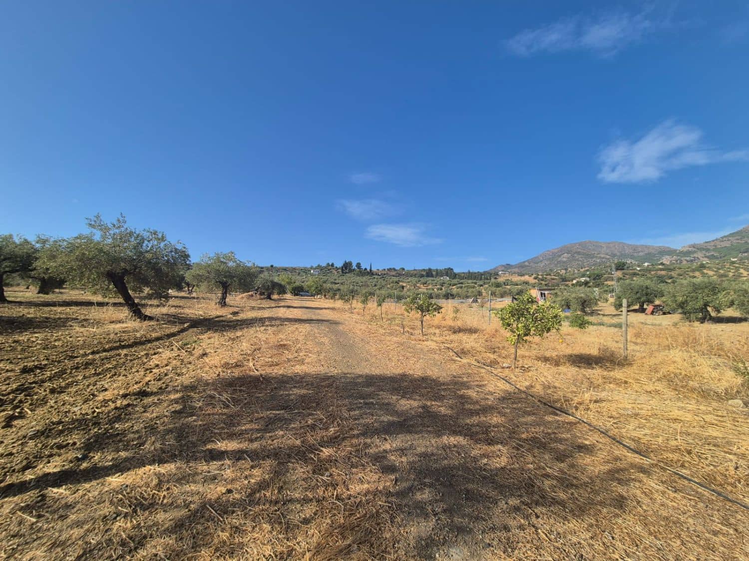 Mark till salu i Casarabonela - 120 000 € (Ref: 9270309)