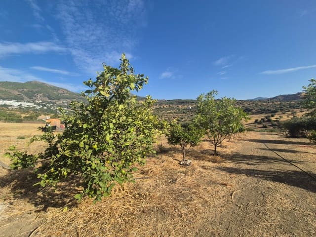 Mark till salu i Casarabonela - 120 000 € (Ref: 9270309)