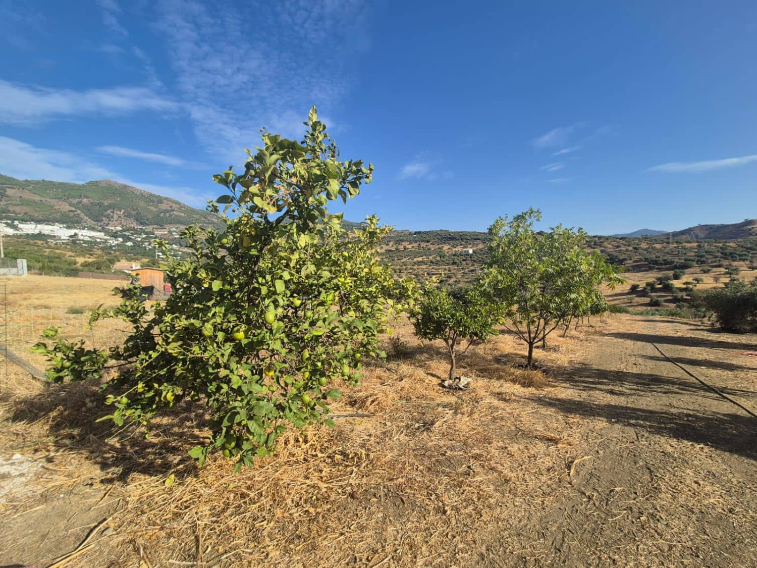 Mark till salu i Casarabonela - 120 000 € (Ref: 9270309)