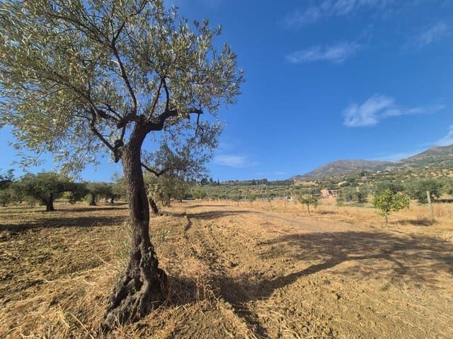 Mark till salu i Casarabonela - 120 000 € (Ref: 9270309)