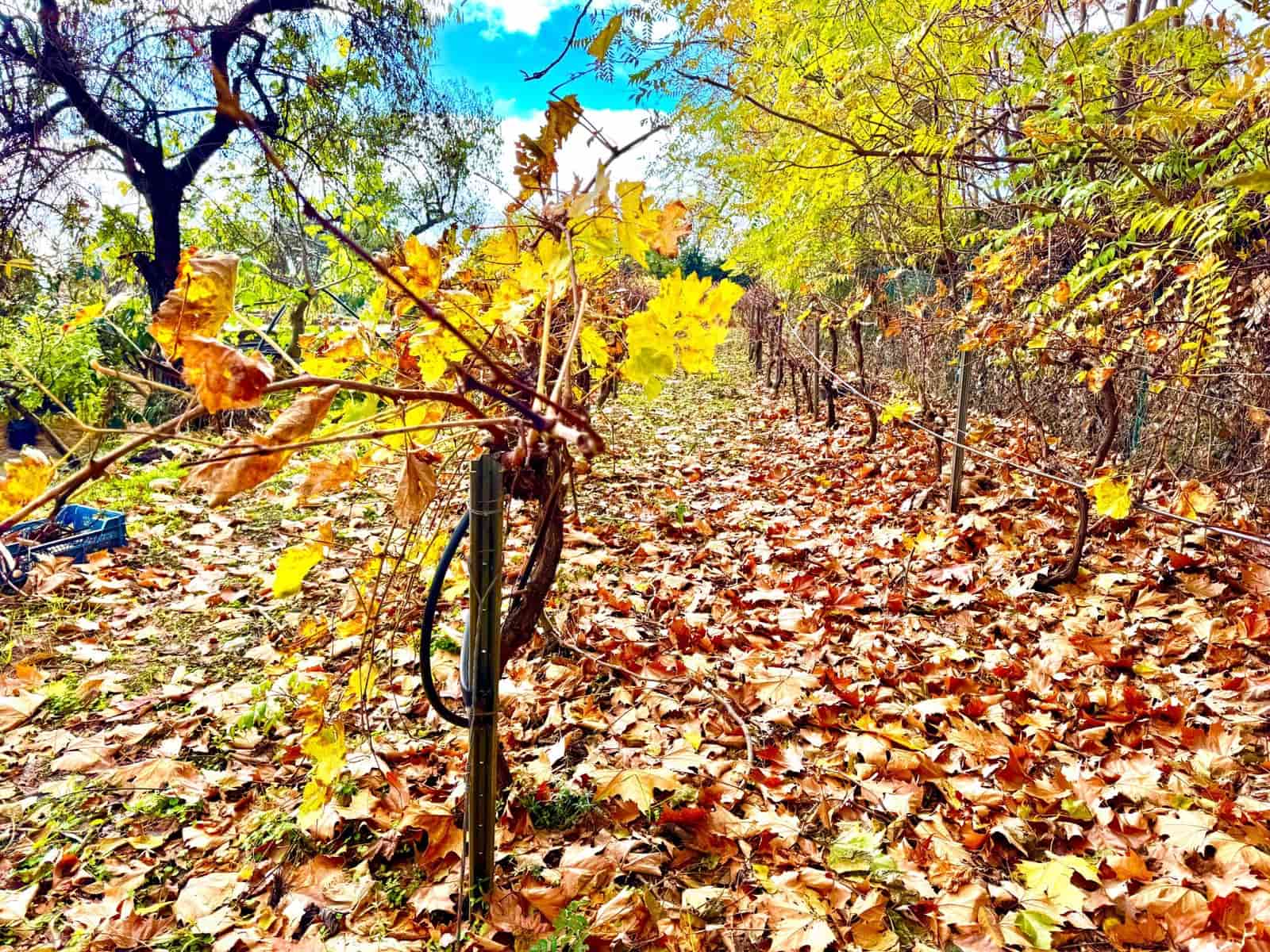 3 sovrum Villa till salu i Yegen med garage - 275 000 € (Ref: 9455906)