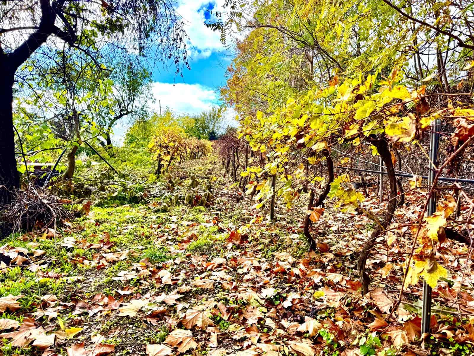 3 sovrum Villa till salu i Yegen med garage - 275 000 € (Ref: 9455906)