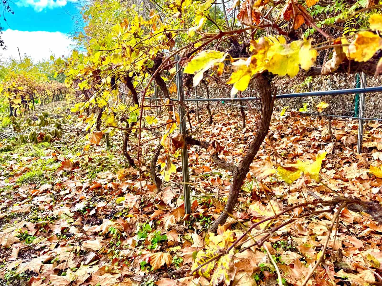 3 sovrum Villa till salu i Yegen med garage - 275 000 € (Ref: 9455906)