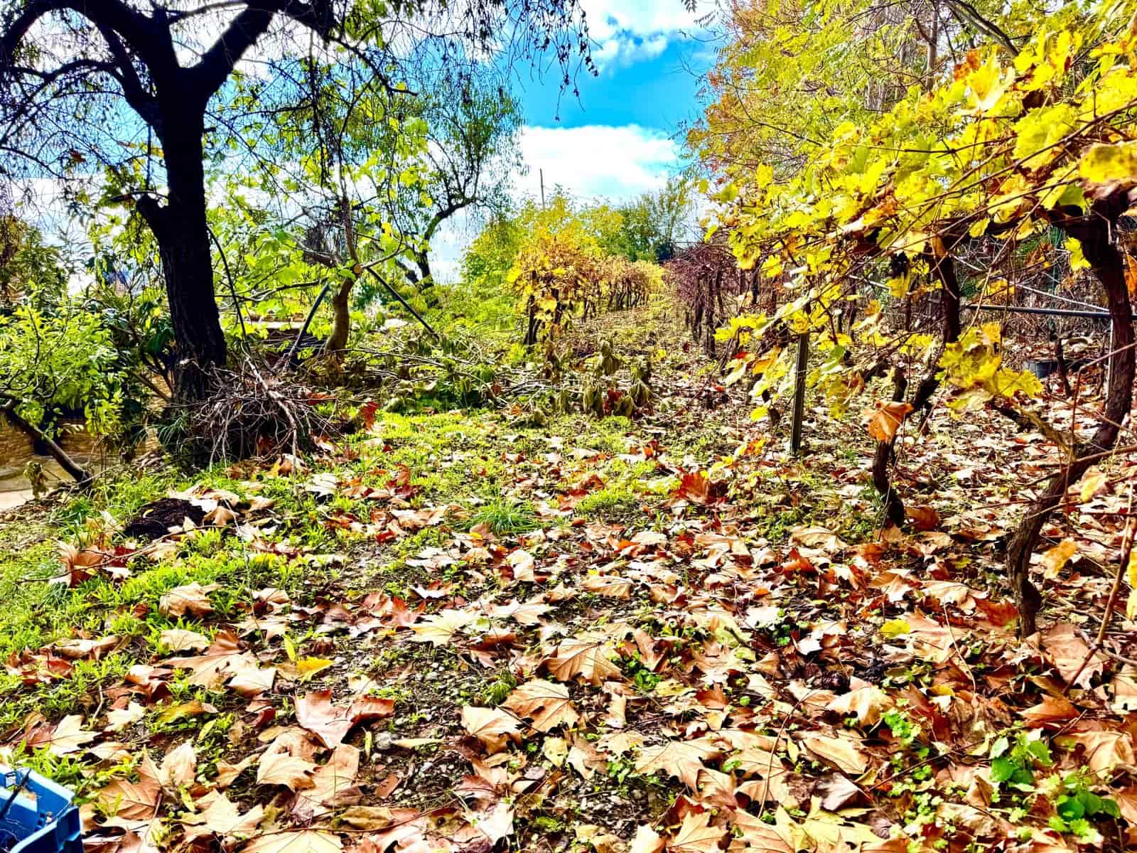 3 sovrum Villa till salu i Yegen med garage - 275 000 € (Ref: 9455906)