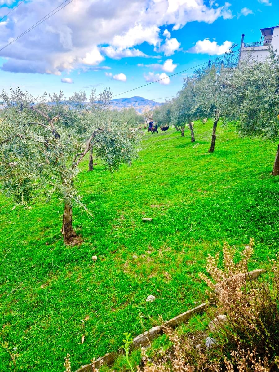 Chalet de 6 habitaciones en Bérchules en venta con piscina - 280.000 € (Ref: 9603110)