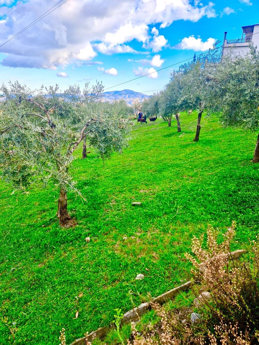 Chalet de 6 habitaciones en Bérchules en venta con piscina - 280.000 € (Ref: 9603110)