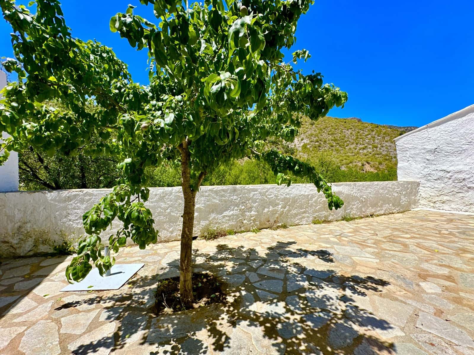 6 camera da letto Villa in vendita in Albox con garage - 280.000 € (Rif: 9603123)