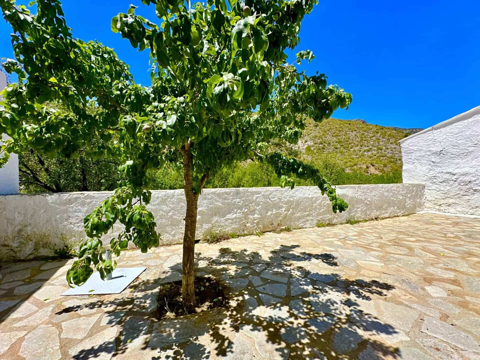 6 bedroom Villa for sale in Albox with garage - € 269,000 (Ref: 9603123)