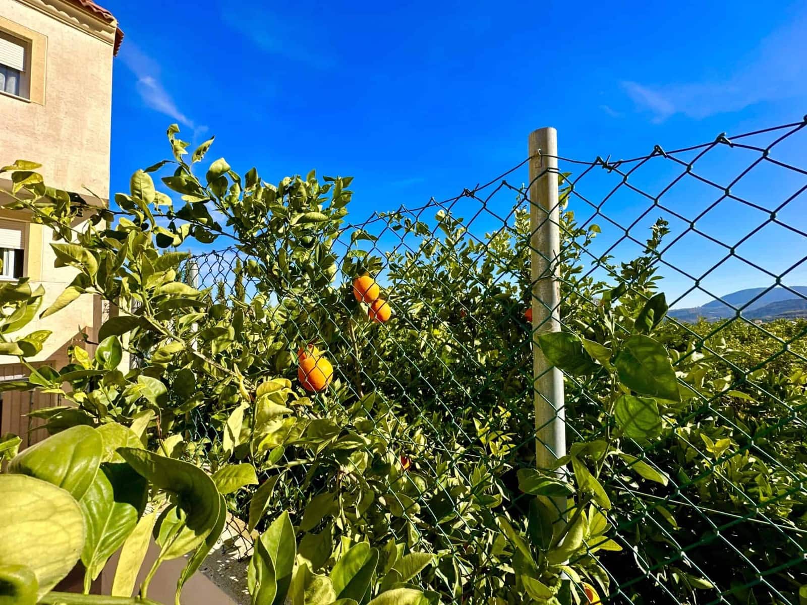 2 soveværelse Lejlighed til salg i Illar med swimmingpool garage - € 69.000 (Ref: 9737722)