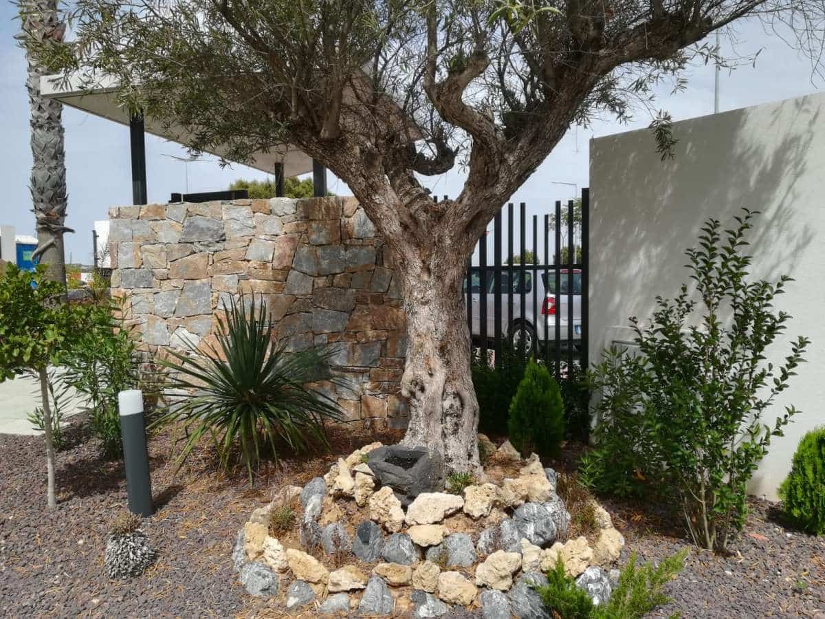 3 makuuhuone Bungalow myytävänä paikassa Torrevieja mukana uima-altaan 
autotalli - 279 900 € (Ref: 9124034)