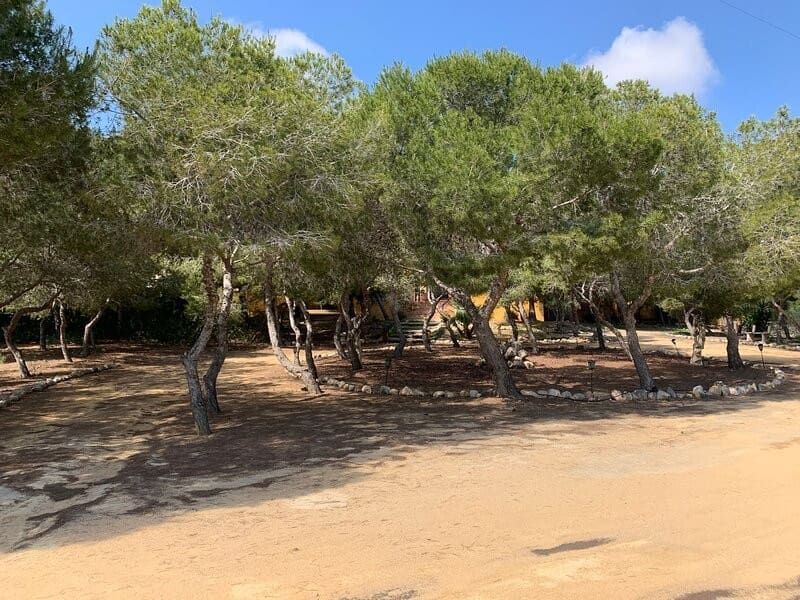 6 bedroom Villa for sale in Ciudad Quesada - € 1,000,000 (Ref: 9380763)