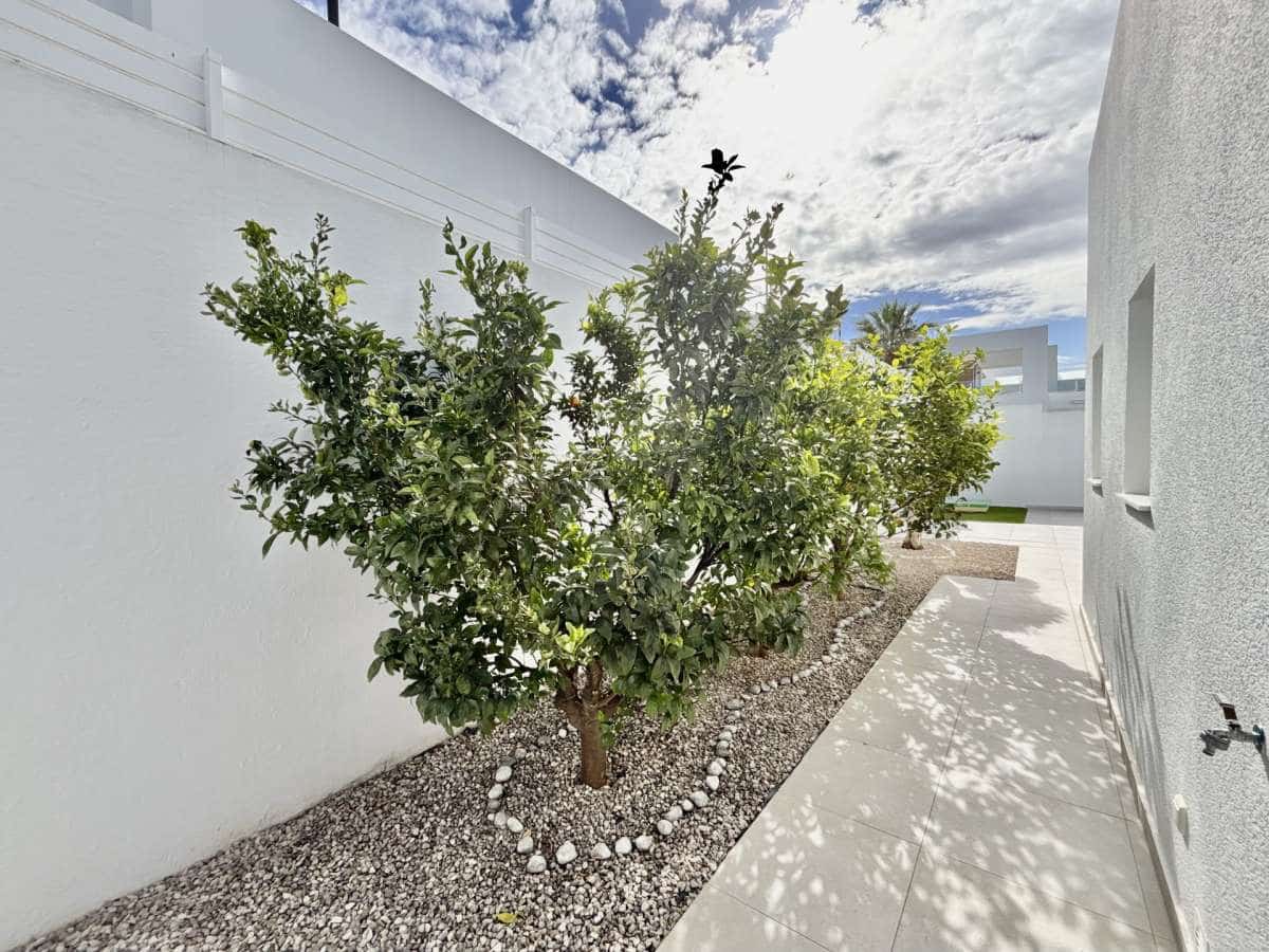 3 soveværelse Villa til salg i Benijofar med swimmingpool garage - € 569.500 (Ref: 9673474)