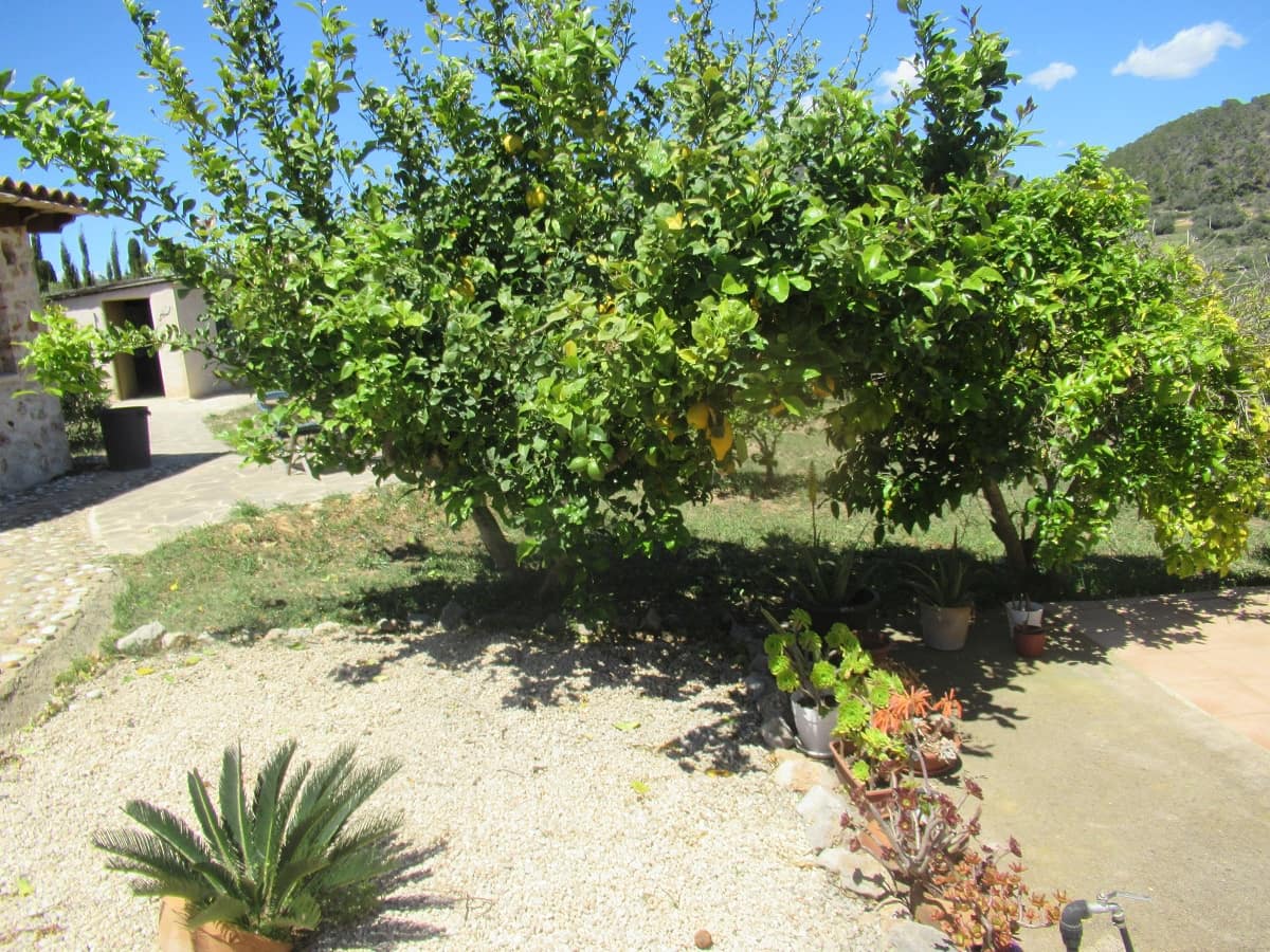 6 bedroom Villa for sale in Calonge with pool garage - € 1,800,000 (Ref: 8263870)