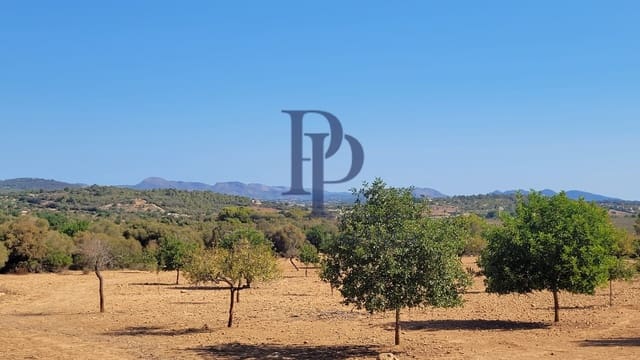 Undeveloped Land for sale in Manacor - € 390,000 (Ref: 9479324)