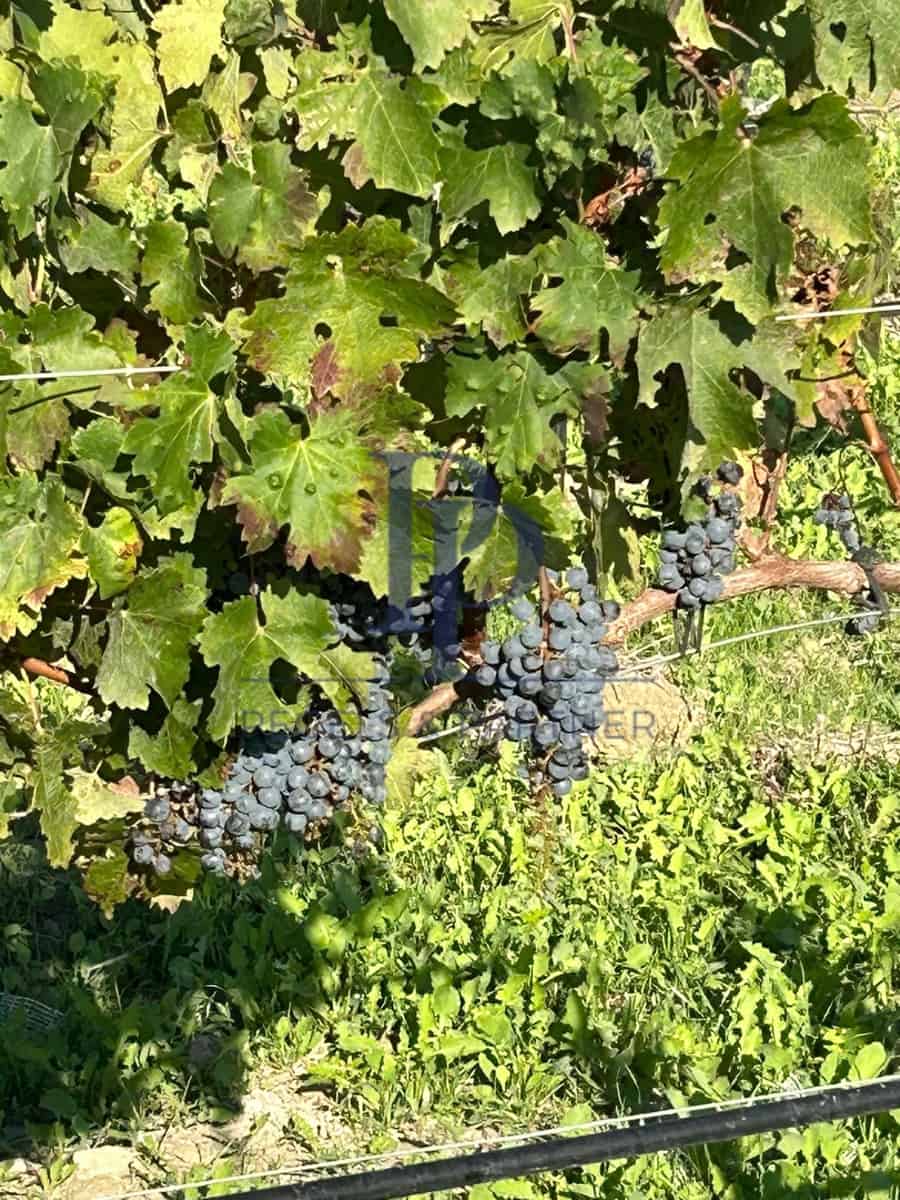 6 slaapkamer Finca/Landhuis te koop in Montuiri met zwembad - € 5.900.000 (Ref: 9664348)