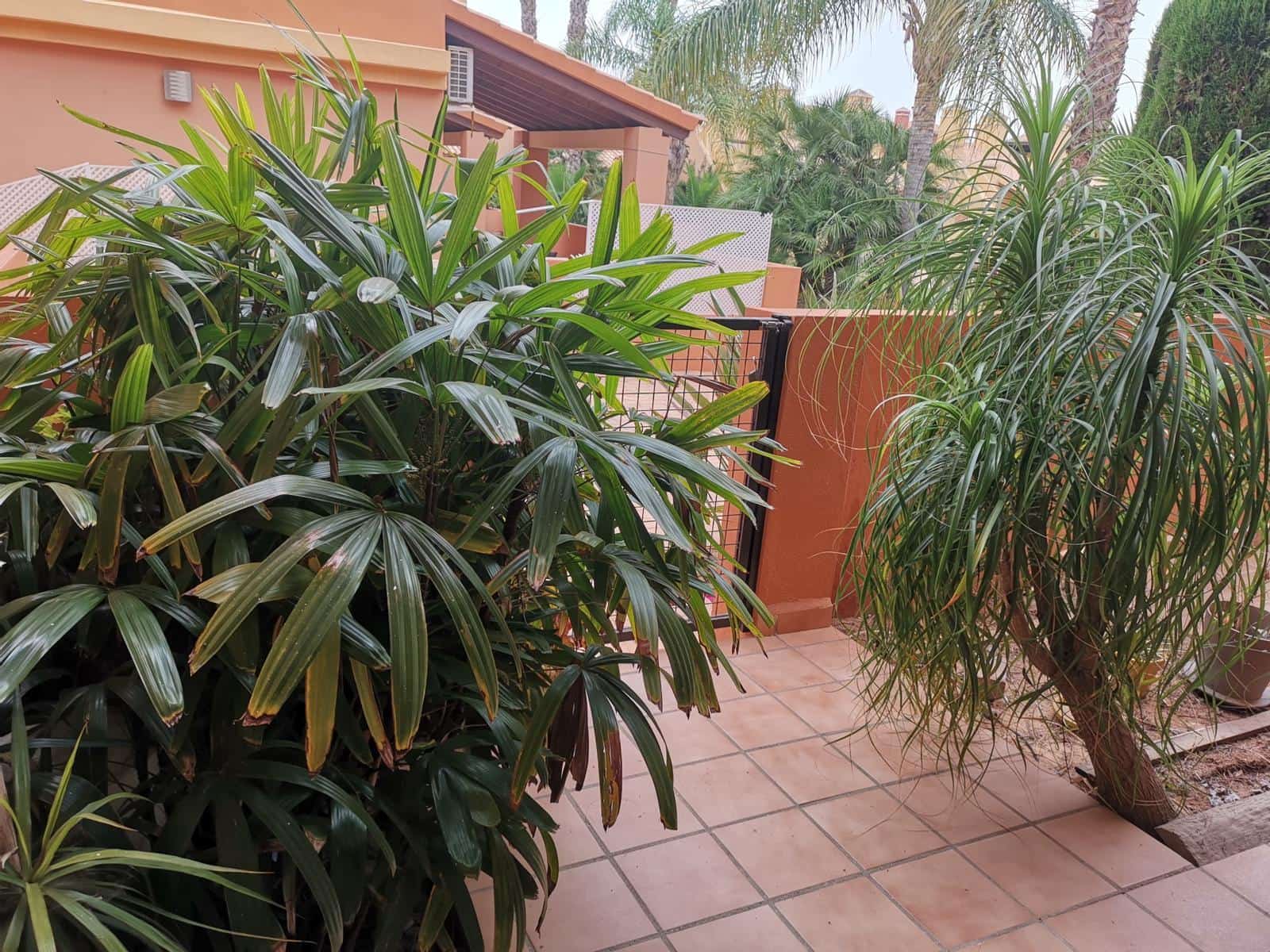 2 soverom Leilighet til leie i Mar de Cristal med svømmebasseng garasje - € 2 800 (Ref: 9789816)