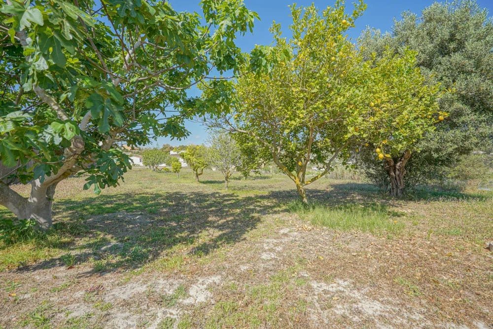 4 quarto Moradia para venda em Benitachell / Benitatxell com piscina - 1 240 000 € (Ref: 10045625)