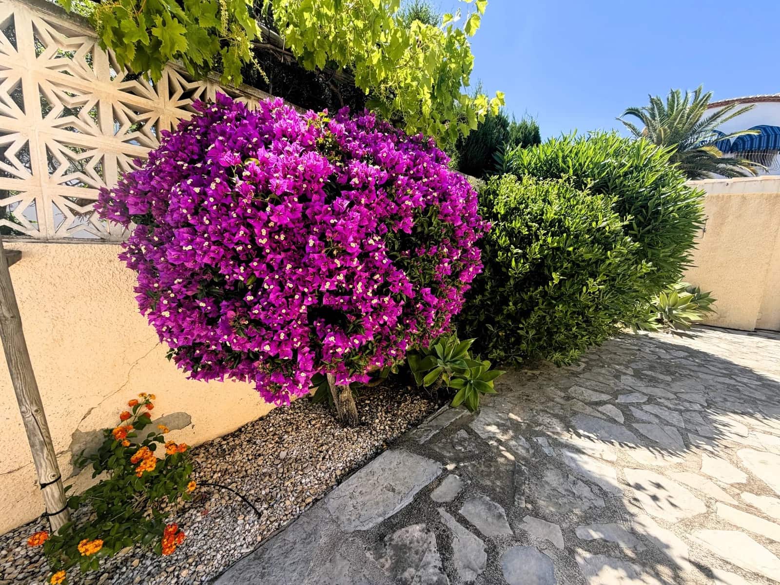 3 chambre Villa/Maison à vendre à Calpe / Calp avec piscine - 695 000 € (Ref: 10045634)
