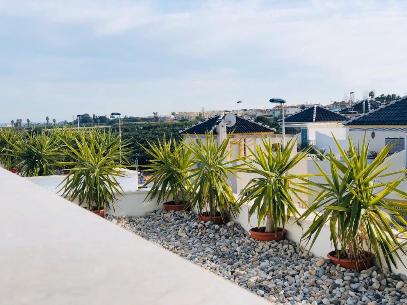 3 bedroom Apartment for sale in Los Altos with pool - € 225,000 (Ref: 6600776)