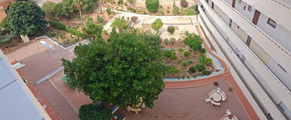 1 chambre Appartement à vendre à La Mata - 133 900 € (Ref: 9303426)