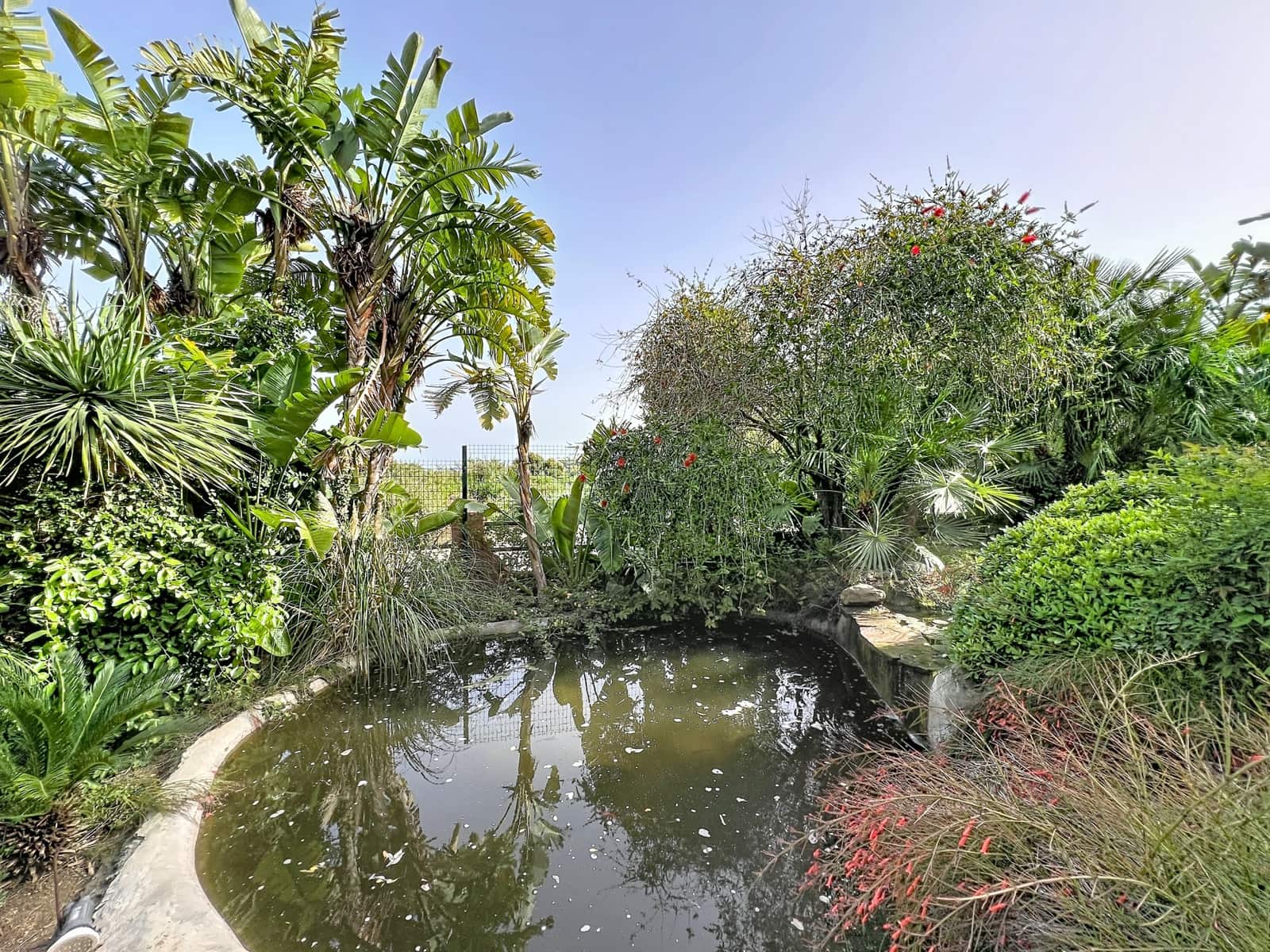 2 sypialnia Apartament na sprzedaż w Casares z basenem garażem - 359 000 € (Ref: 9804270)