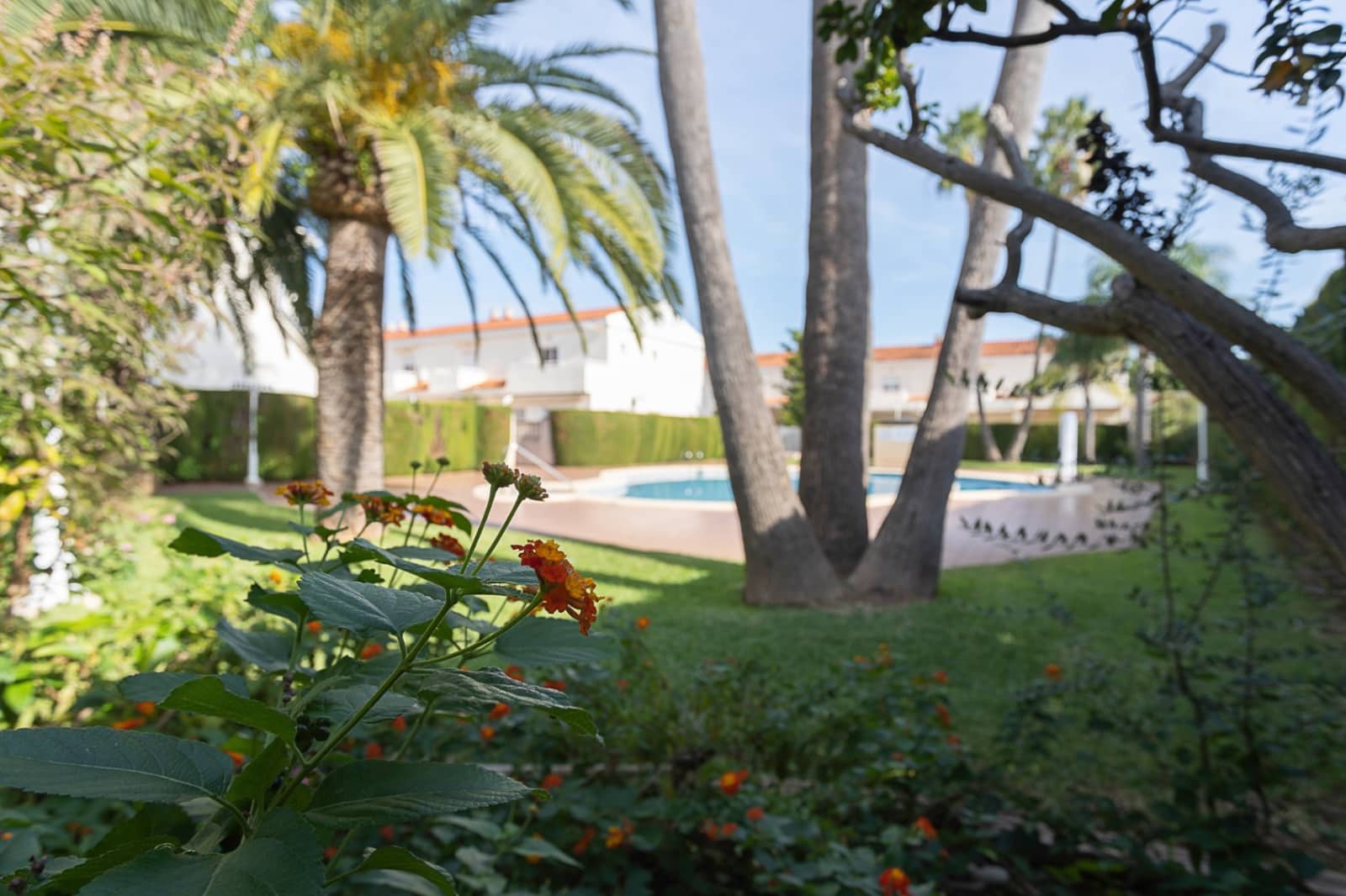 2 bedroom Terraced Villa for sale in Els Poblets with pool garage - € 265,000 (Ref: 9655588)