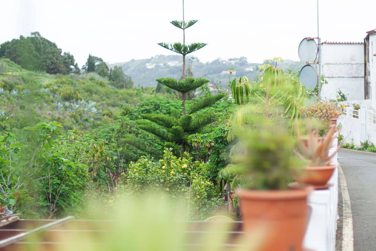 2 soveværelse Rækkehus til salg i Teror - € 320.000 (Ref: 8997225)