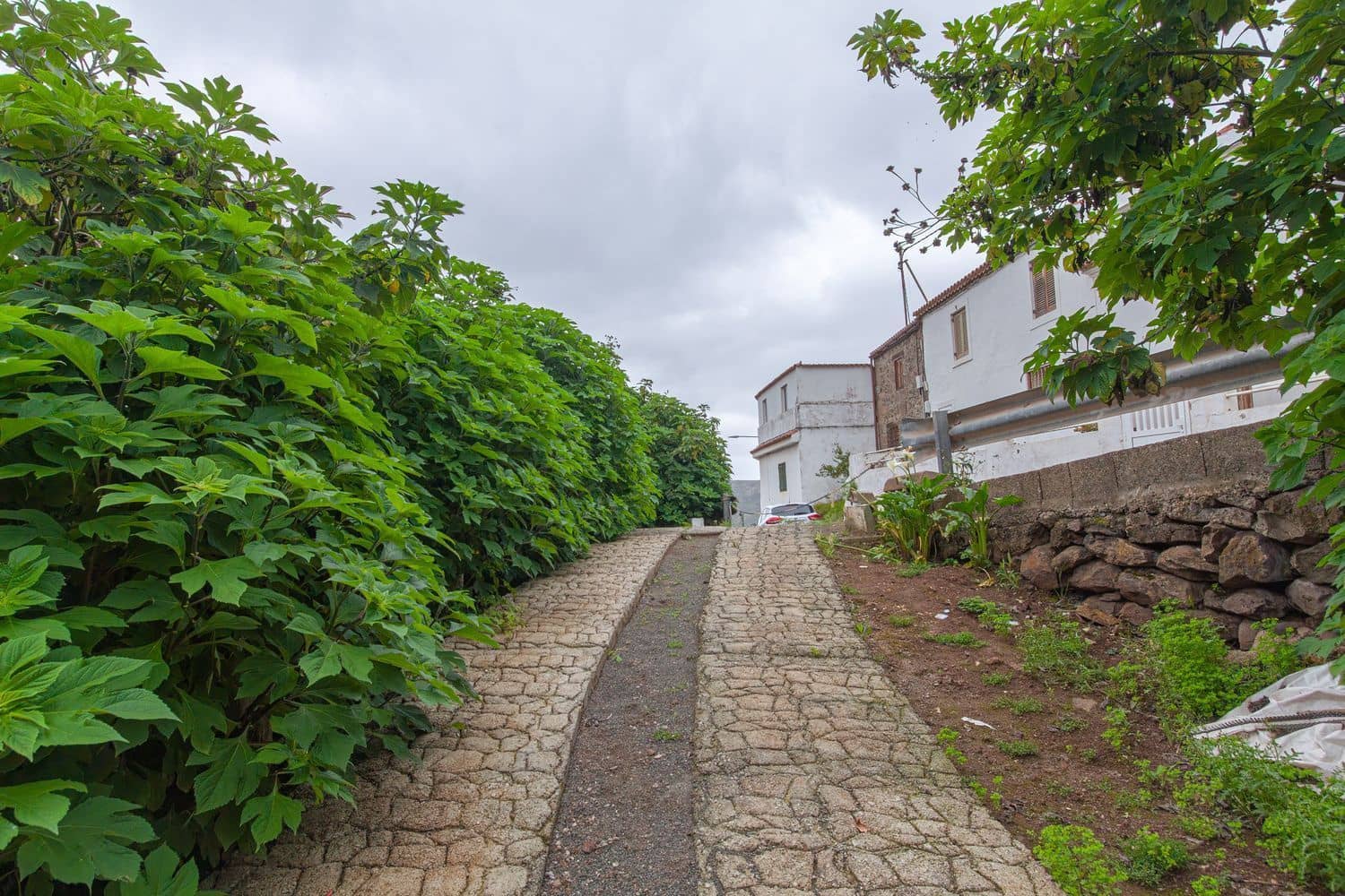 2 soveværelse Rækkehus til salg i Teror - € 320.000 (Ref: 8997225)