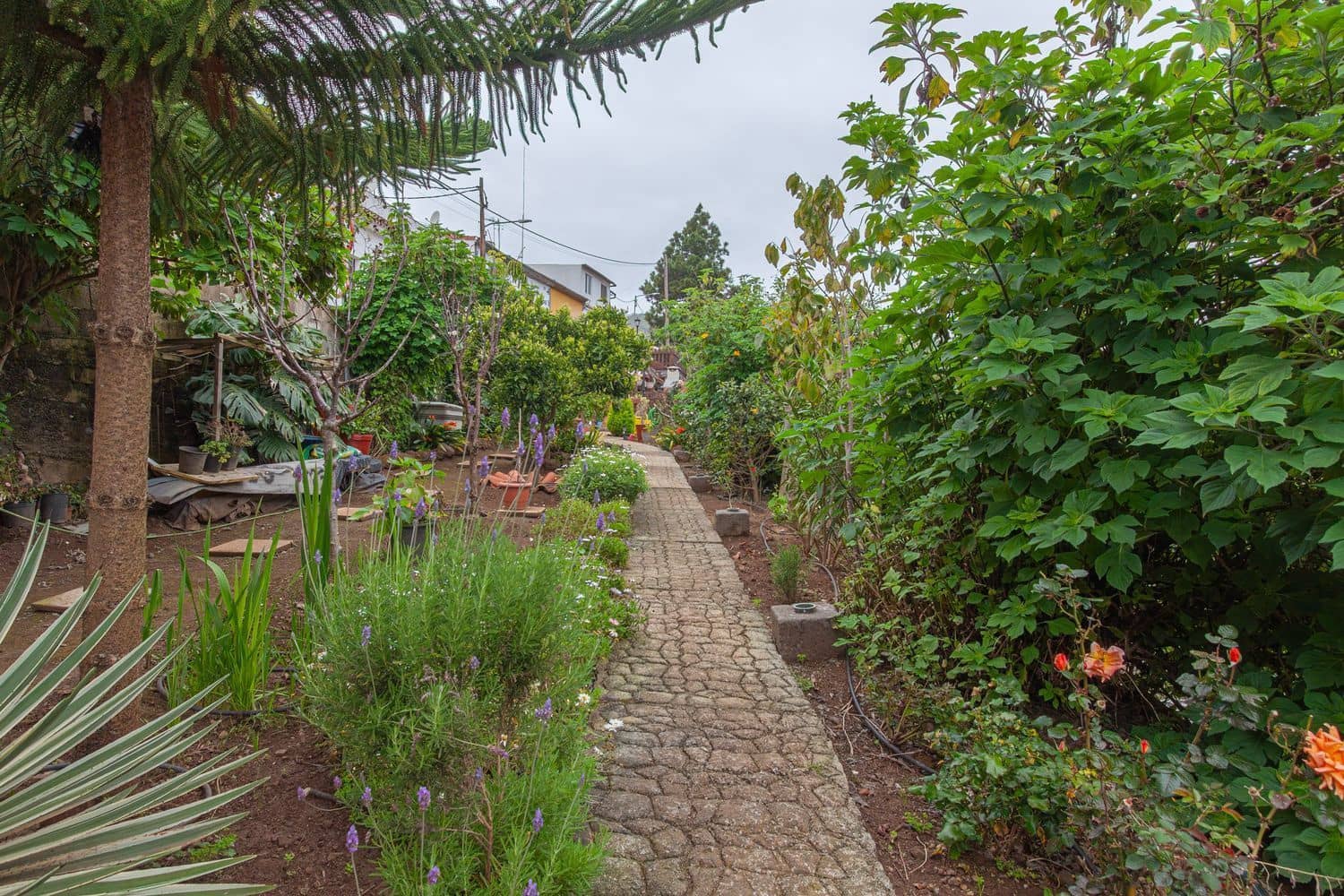 2 soveværelse Rækkehus til salg i Teror - € 320.000 (Ref: 8997225)