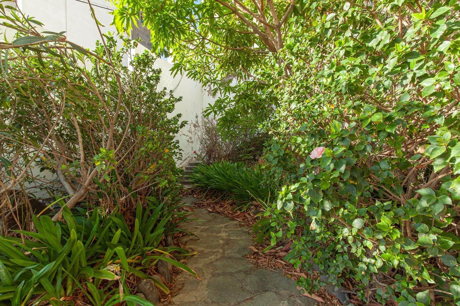 7 sypialnia Willa na sprzedaż w Las Palmas de Gran Canaria z garażem - 2 300 000 € (Ref: 8997226)