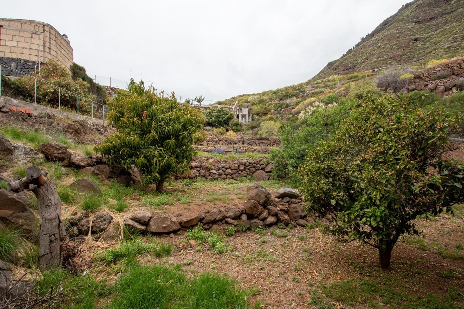 6 soveværelse Villa til salg i Araya med swimmingpool garage - € 632.000 (Ref: 8997227)