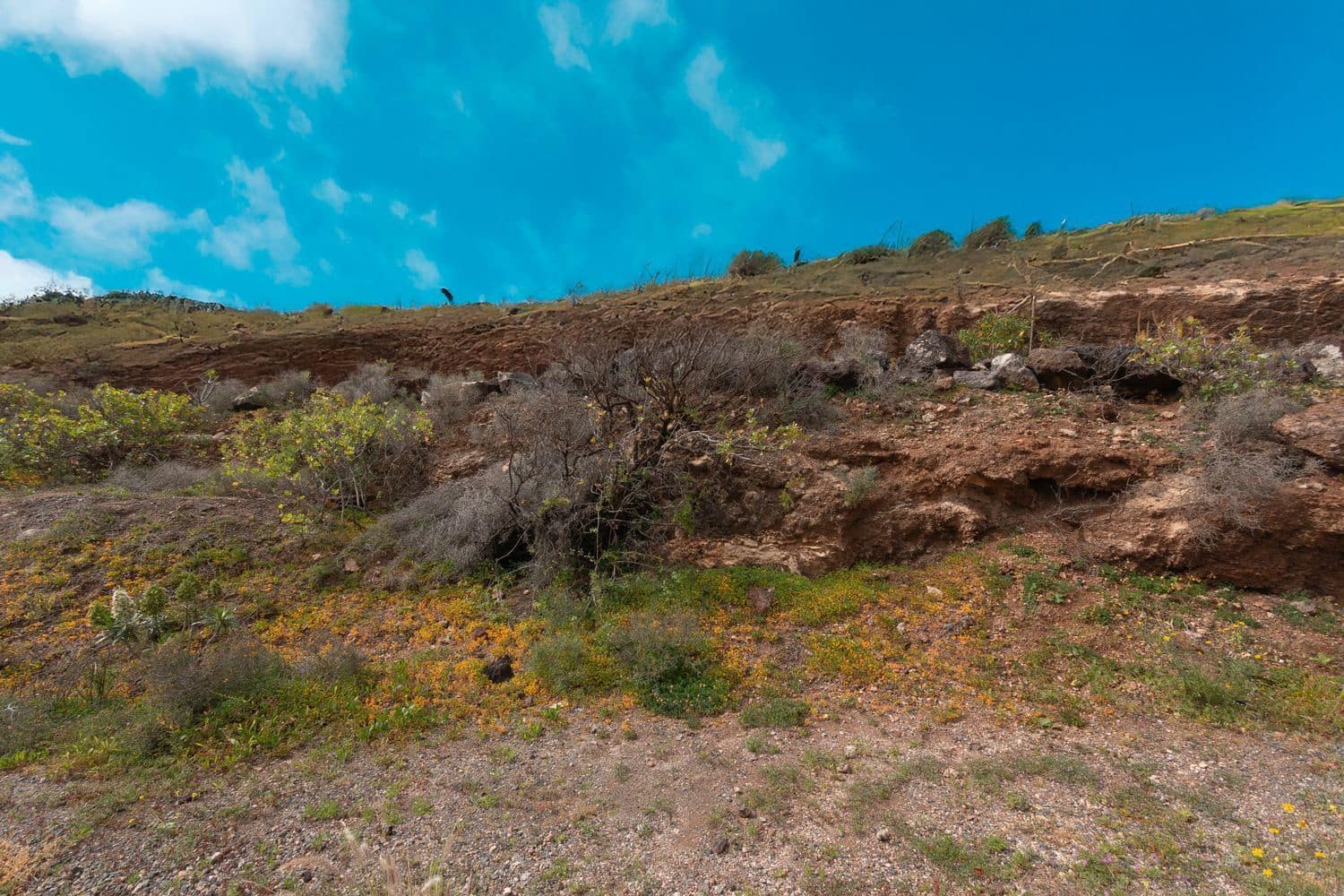 Area Edificabile in vendita in Santa Maria de Guia de Gran Canaria - 64.000 € (Rif: 8998522)