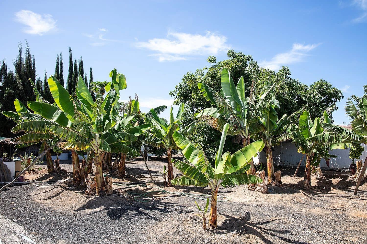 4 camera da letto Villa in vendita in El Salobre con piscina garage - 990.000 € (Rif: 9001705)